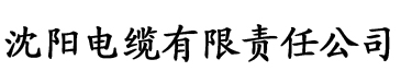 神马我不卡影院秋霞电缆厂logo